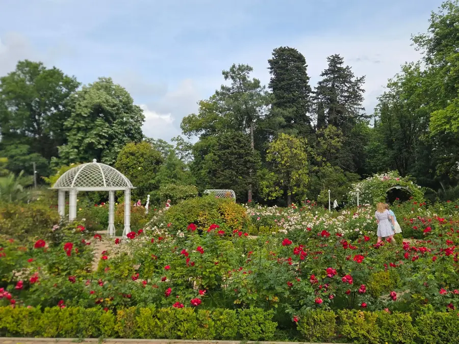 Обзорная по Сочи — фото от организатора 15